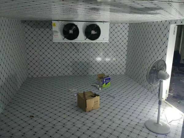 泰顺超低温冷库设计